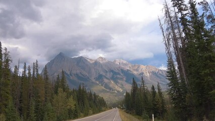 Poster - Asphalt road between forest trees with cloudy sky and mountains on the horizon