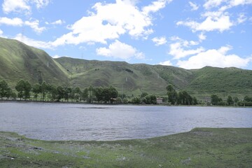 Poster - Row of trees on the bank of a river with green mountains in the background.