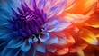 © Lubos Chlubny - Macro photography of vibrant color dahlia flower as a creative abstract background