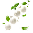 © Oksana_Latysheva - Fresh mozzarella balls falling  isolated on transparent background