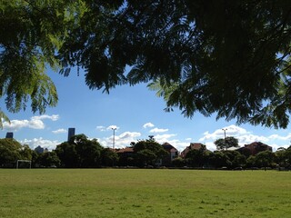 Poster - a park with green grass and grass covered ground, blue sky with white clouds,