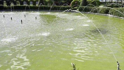 Wall Mural - Sunny park view with fountains and green plants