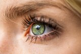 Fototapeta  - Closeup of an attractive female's bright green eyes with long voluminous eyelashes
