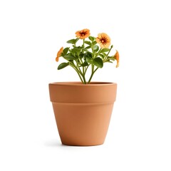 Wall Mural - the plant with pot with isolated background design