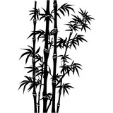 Fototapeta Sypialnia - Silhouette bamboo full body black color only