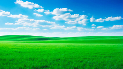 meadow, grassland, landscape,agriculture,lawn, field,  sky, cloud,  flower, nature, spring,Background image of a vast green field under a bright blue sky. bright green grass Receives light well The ba