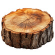 Tree Stump Slice Isolated on Transparent or White Background, PNG