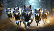 Eine Gruppe Wölfe verfolgt die Beute während der Jagd