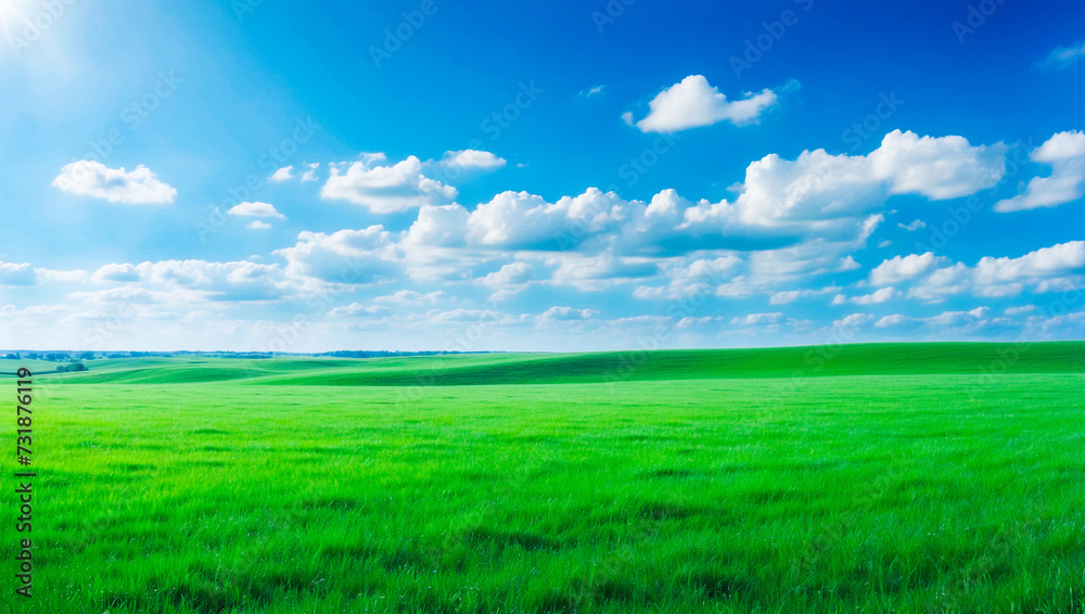 meadow, grassland, landscape,agriculture,lawn, field,  sky, cloud,  flower, nature, spring,Background image of a vast green field under a bright blue sky. bright green grass Receives light well The ba