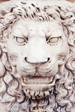 Fototapeta Tęcza - Sculpture of a medieval lion head of stone (Italy) - frontal view