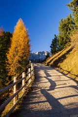 Canvas Print - Peitlerkofel Mountain, Dolomiti near San Martin De Tor, South Tyrol, Italy