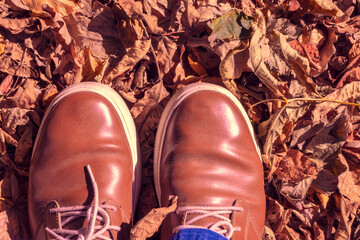 Wall Mural - Fall leaves, legs and Brown shoes. Conceptual Autumn composition. Feet shoes walking  in autumn forest. The concept of leaf fall