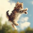 Cute cat jumping, kitten