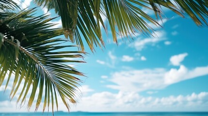 Wall Mural - Beautiful tropical beach with green palm leaf, clouds on a sunny day.