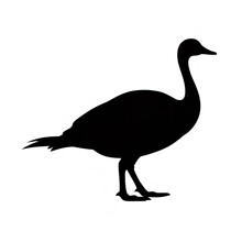 Black Color Silhouette Of A Canada Goose