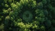 An intriguing circular clearing forms a natural contrast within the dense, vibrant forest canopy in this overhead drone image.