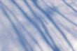 Shadows on the snow