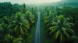 Tropical rain forest with rural road aerial view nature landscape