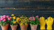 collection of flowering plants in terracotta pots arranged on a dark wooden deck
