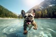 French bulldog playing in lake with mountains in the background AI Generated