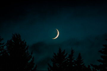 moon in the sky