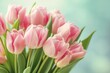 pink tulips vase table banner test mod open