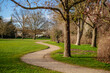 alley in the park , early spring sunny day
