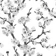 Botanical black and white seamless pattern with sakura cherry branch
