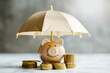 © All Creative Lines - Pink piggy bank standing with golden coins under umbrella. Concept of financial security and saving for the future or rainy day