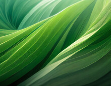 Abstract Organic Green Lines As Wallpaper Background Illustration