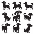 A set of black and white vector illustrations of dogs of small breeds similar to a dachshund