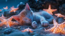 3d Render, Bioluminescent, Cute Little Anthropomorphic Orange And White Calico Cat Sleeps On The Beach At Night,  