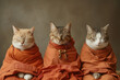 Three cats dressed in Buddhist monk robes meditating peacefully.