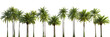 © john - Large tropics palm trees shapes cutout backgrounds 3d rendering png