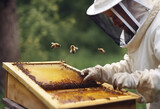Fototapeta Sport - The beekeeper pulls out a frame with honey from the beehive