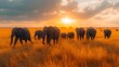 A tranquil scene of a herd of elephants trekking across the savanna against a stunning African sunset.