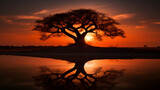 Fototapeta Na ścianę - Baobab tree in silhouette against a sunset sky, with the sun's reflection in a still water body in the foreground