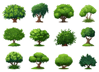 landscaping shrub plants. detailed vecor wood shrubs set, cartoon bushes with green foliage isolated