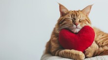 A Domestic Felidae Gazes Lovingly With Its Red Heart Pillow, Showcasing Its Soft Fur And Delicate Whiskers In A Heartwarming Display Of Affection