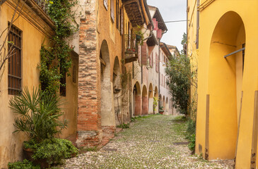 Wall Mural - Treviso - The asilse of the old town.