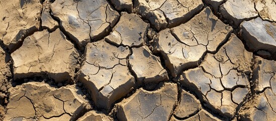 Sticker - Cracked soil in drought, textured with dry mud on dry land.