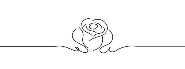 Wall Mural - rose illustration of a flower line art style vector with transparent background.