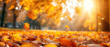 Vibrant Autumn Foliage Blankets The Park Under The Golden Sunlight Background Banner Copy Space Area