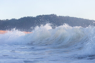 Foamy wave breaking on the shore.