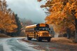 A school bus on the road in the morning
