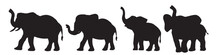 Silhouette Of Elephants Vector Set