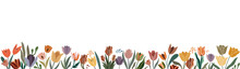 Horizontal Banner, Seamless Border With Gorgeous Multicolored Blooming Tulip Flowers And Leaves. Spring Botanical Flat Vector Illustration Isolated On Transparent Background.