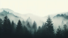 Forest Landscape, Exotic Foggy Forest