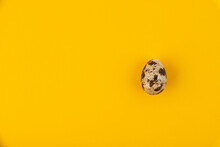 One Quail Egg On A Yellow Background