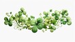 © Fotograf - A bunch of green clovers on a white background. Perfect for St. Patrick's Day designs and celebrations